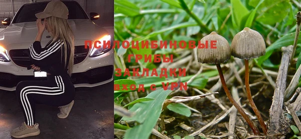 скорость Белокуриха